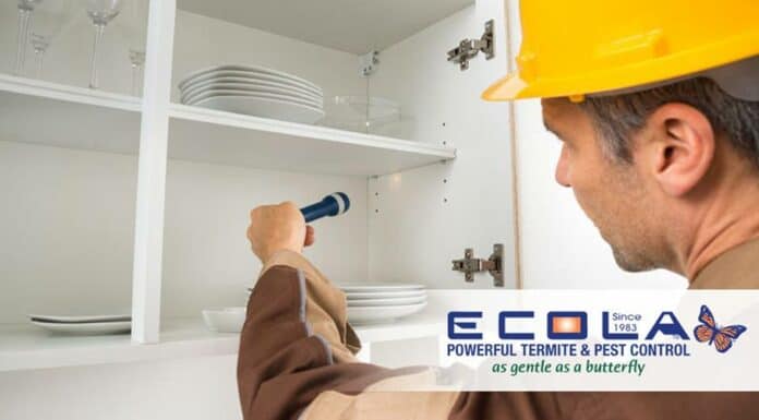 Let Us Help Treat Your Home With The Best Pest Control Service in Anaheim, CA!