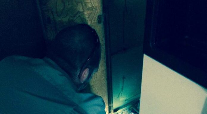 Seeking The Best Pest Control in Palmdale, CA? We’ve Got Your Back!