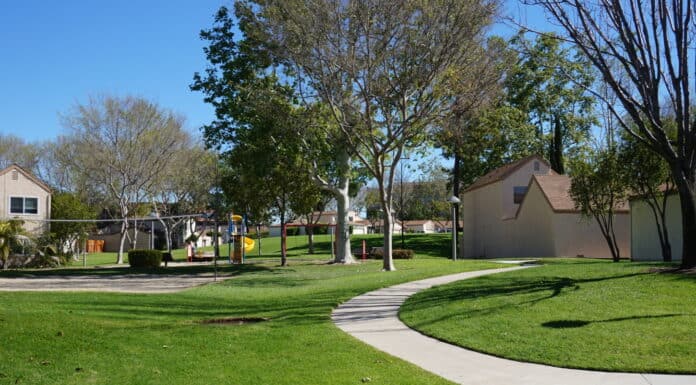 Seeking The Best Landscaping Company in Anaheim, CA? Jalco Has You Covered!