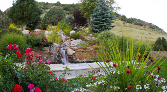 Searching For A Professional Landscaping Company in Denver, CO? We’ve Got You Covered!