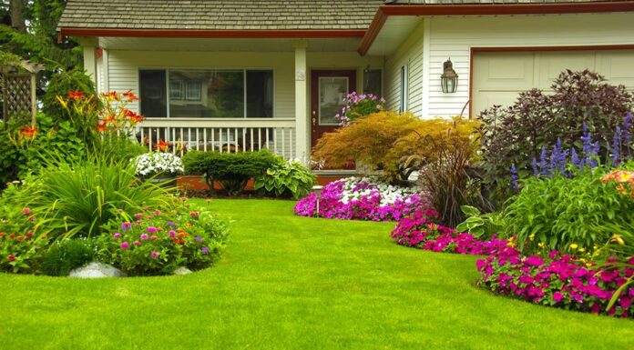 Searching For A Professional Landscaper in El Monte, CA? RotoTillerGuy Has You Covered!