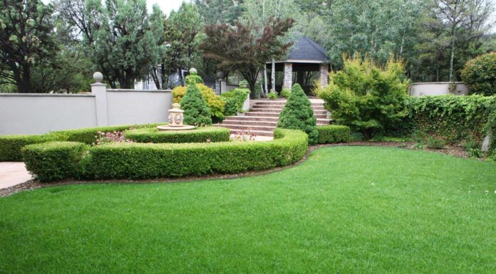 Let ZebraScapes Landscaping & Services Create The Yard of Your Dreams, Your Landscape Specialist in Prescott, AZ!!