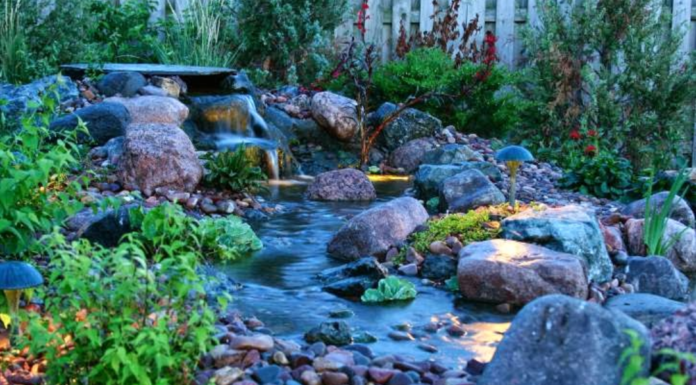 Searching For Certified Landscape Professional in Forth Worth, TX? We’ve Got You Covered!