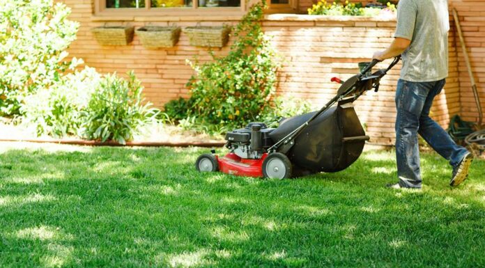 Let Mission Landscape and Maintenance, Be Your Landscaping Specialist in Lubbock, Texas!!