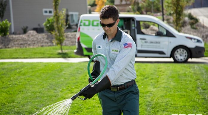 Let Edge Take Control Of Your Pest Problem in Loveland, CO!!