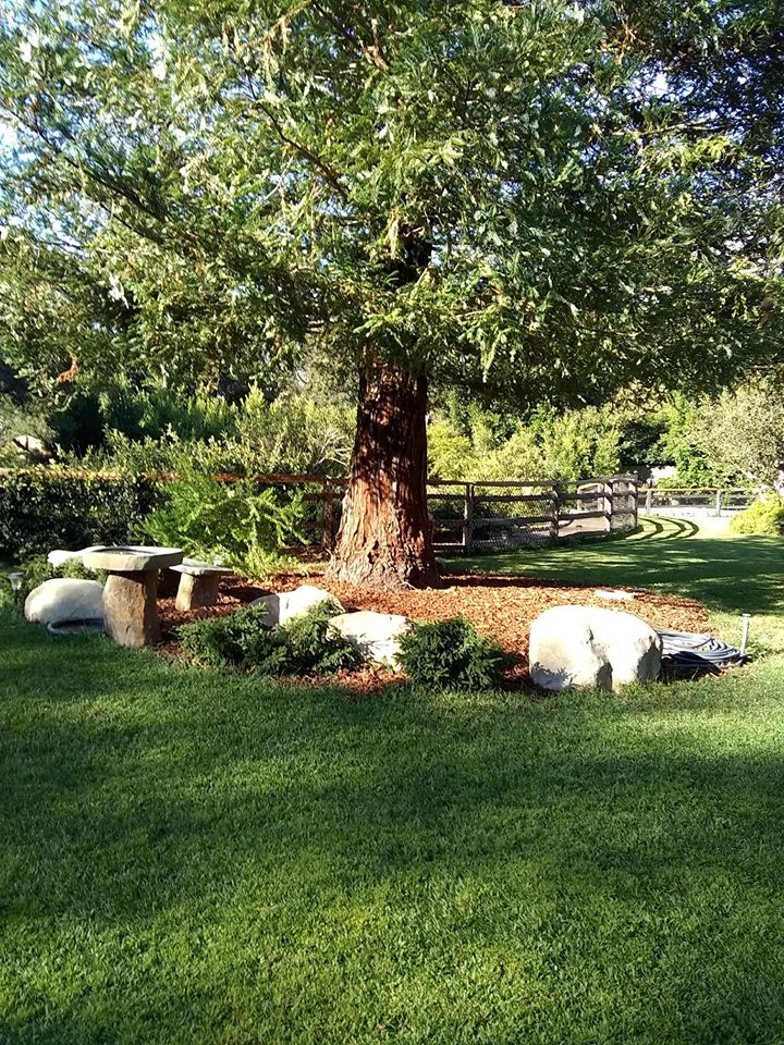 Looking For The Best Landscaping Company in Ventura, CA? We’ve Got You Covered!
