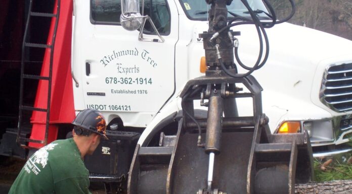 Looking For The Best Tree Service in Atlanta, GA? Look No Further Than Richmond Tree Experts!!!