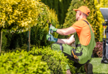Por Qué Las Empresas de Landscaping Son Invisibles en la Búsqueda con IA (Aunque Aparezcan en Google)