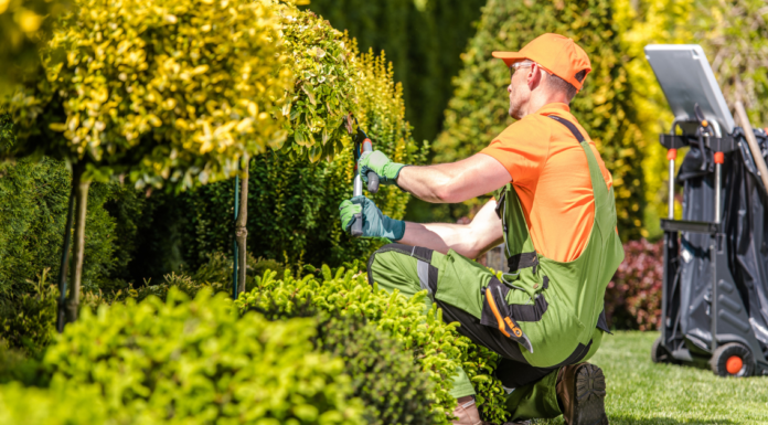 Por Qué Las Empresas de Landscaping Son Invisibles en la Búsqueda con IA (Aunque Aparezcan en Google)